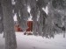 Zima na Yukonu-) 031.jpg